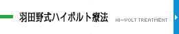 羽田野式ハイボルト療法