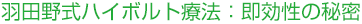 羽田野式ハイボルト療法：即効性の秘密