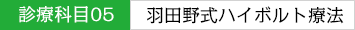 診療科目05：羽田野式ハイボルト療法