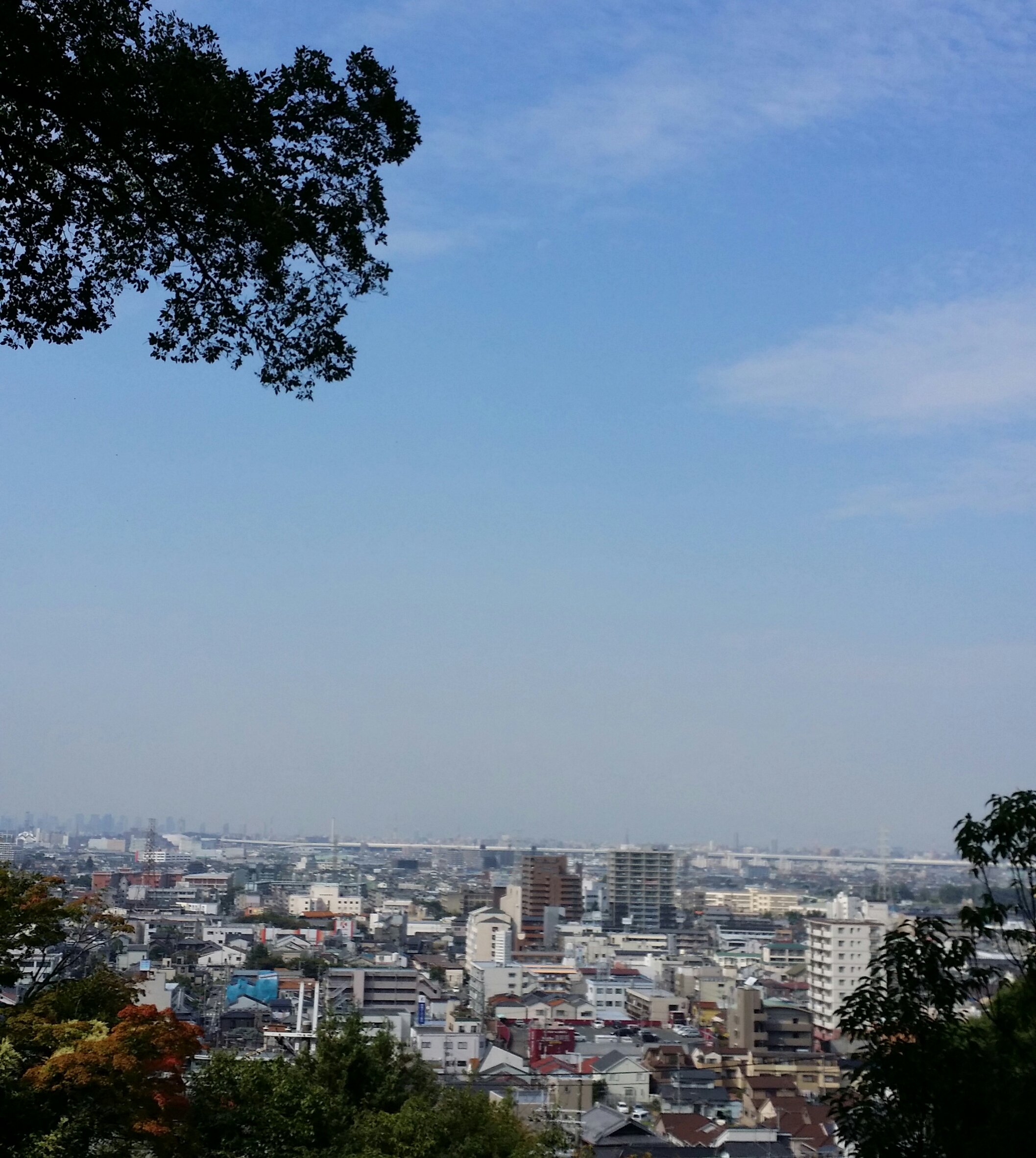 １０月２１日  水曜日🎶