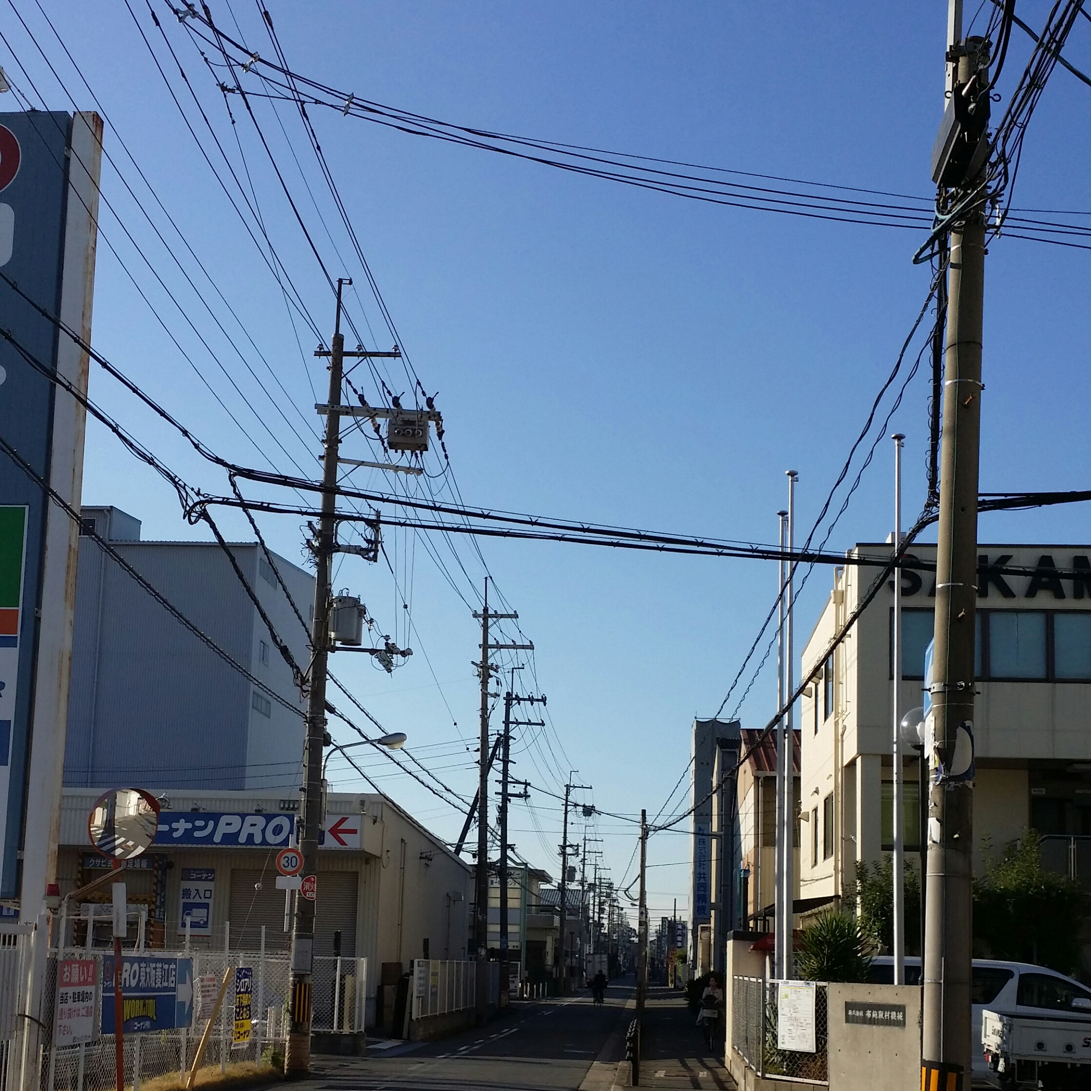 １２月１９日　土曜日💮