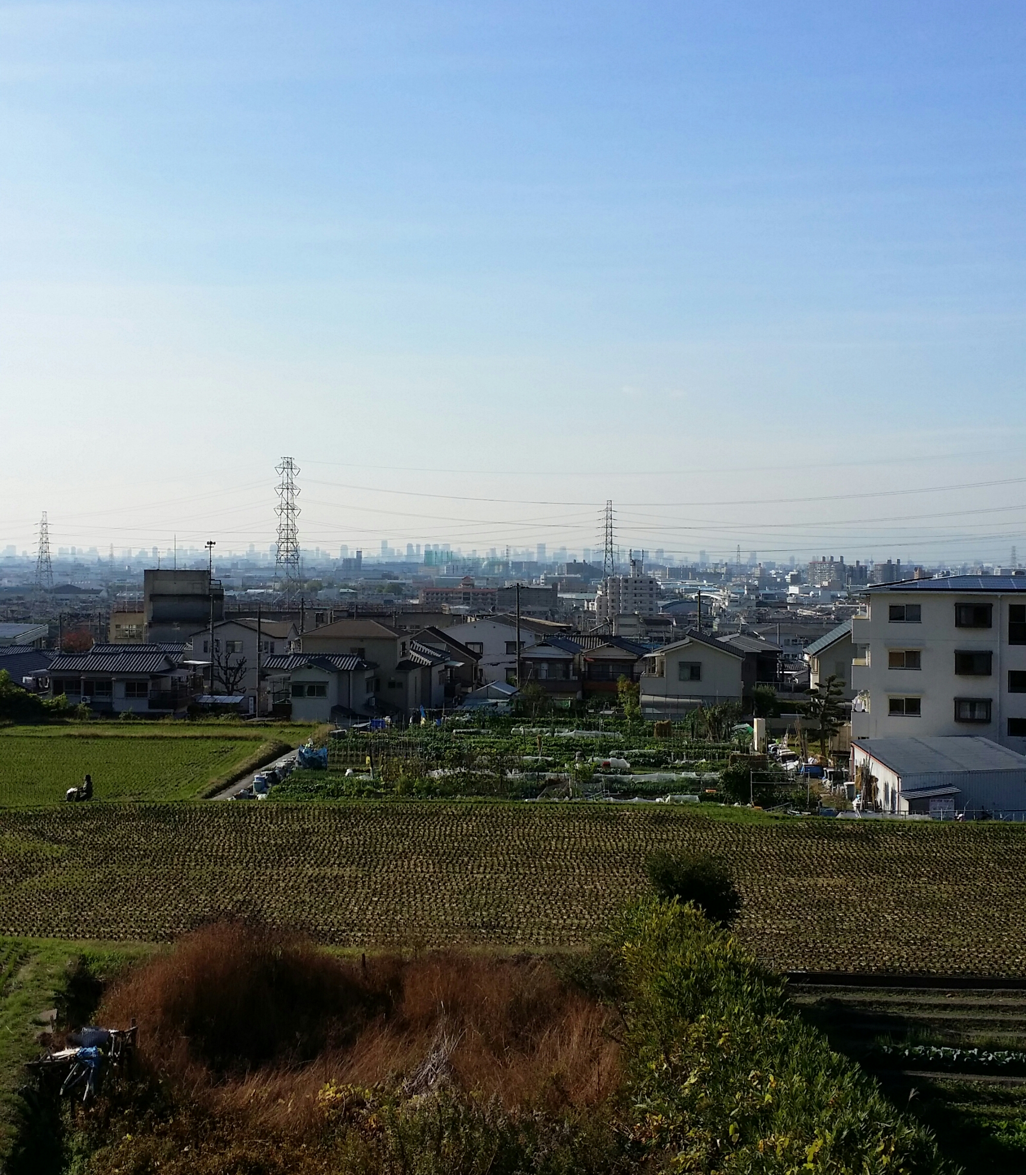 １１月２５日　水曜日🎵