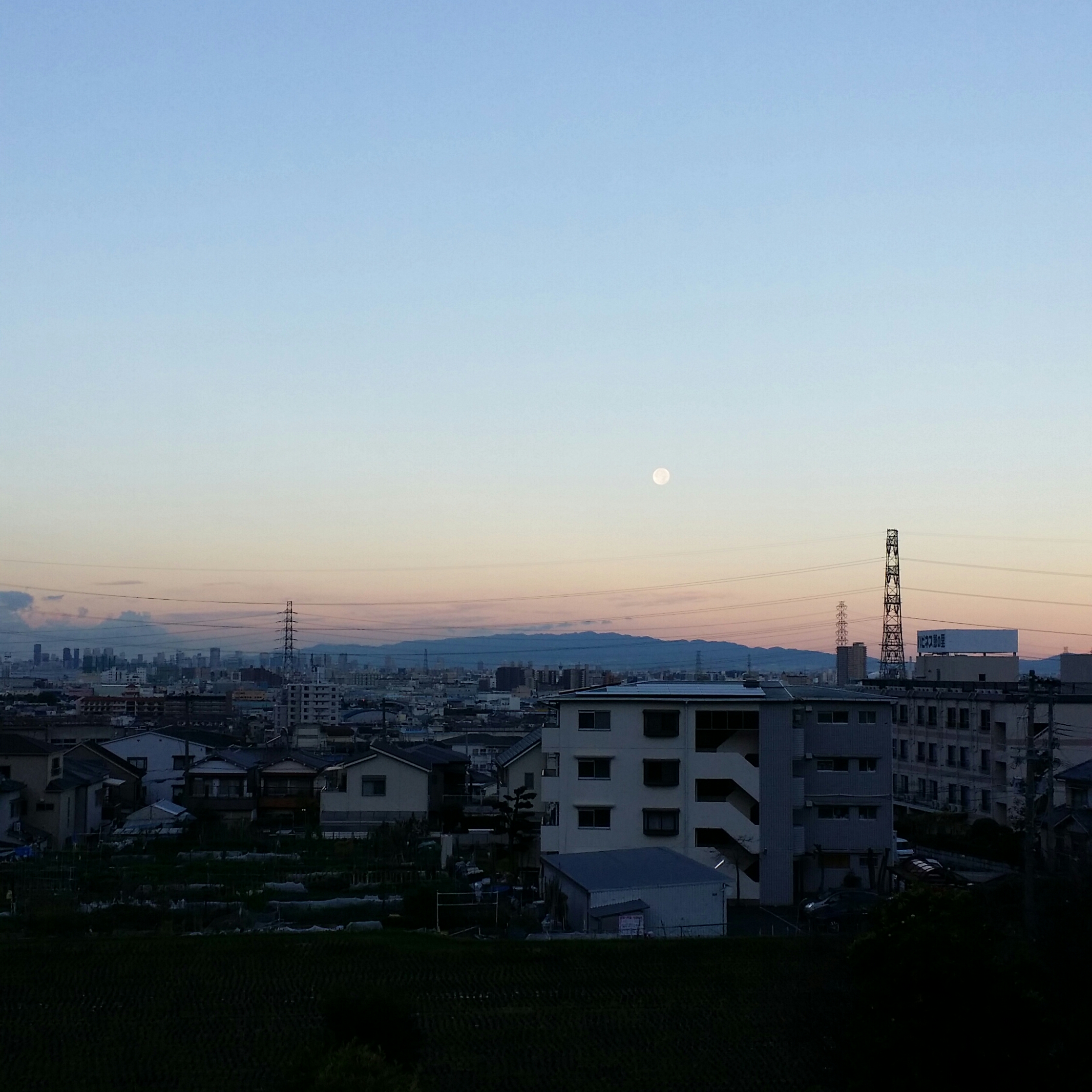 １１月１２日　土曜日🍀