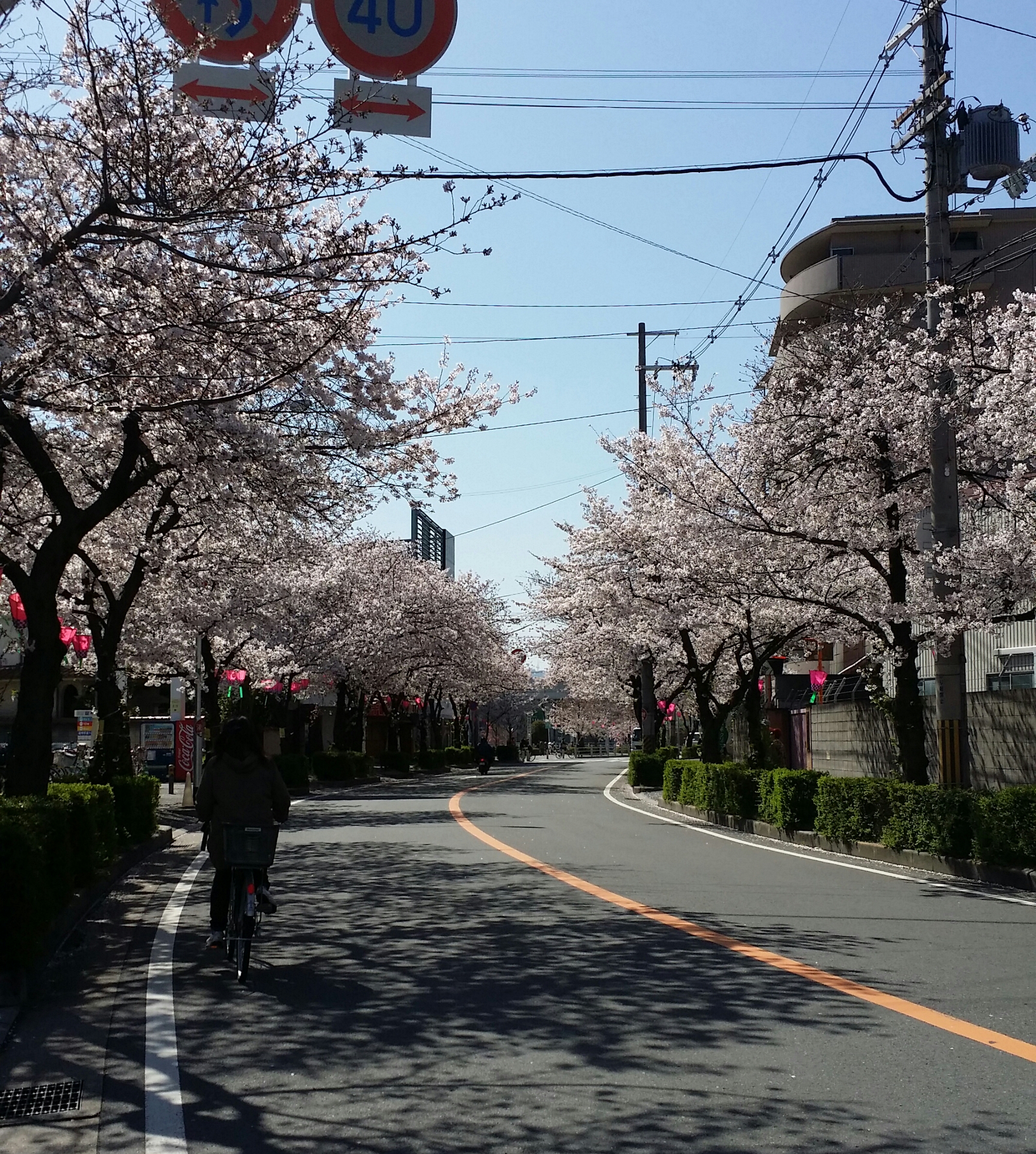 ３月１９日　土曜日🎶