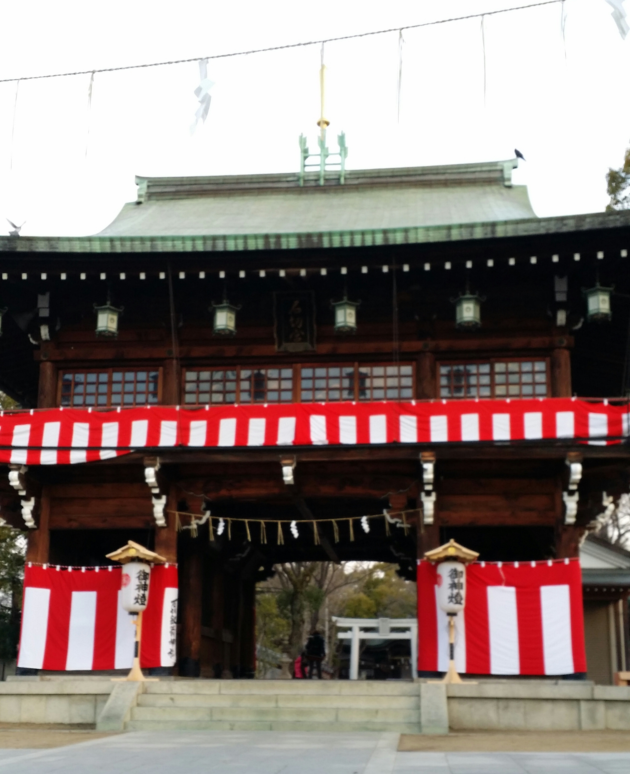 ２月３日　水曜日💮