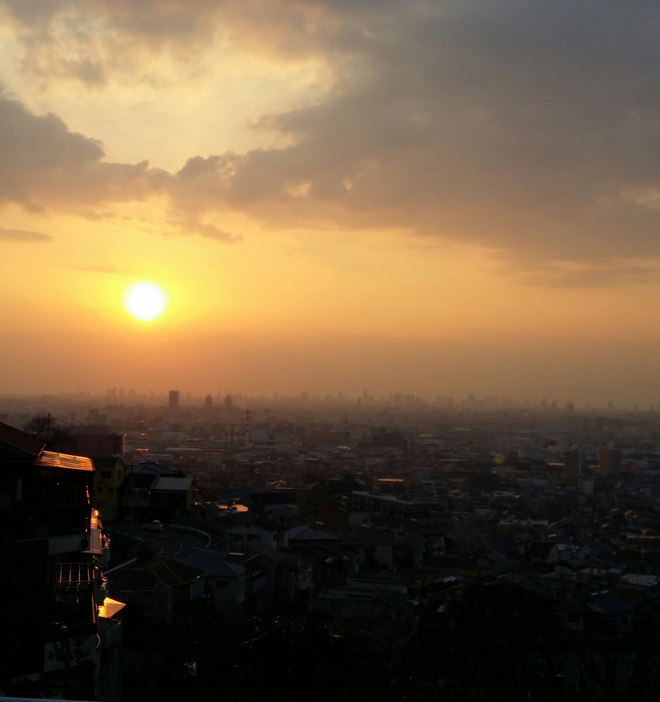 来年はどんな年✨😄