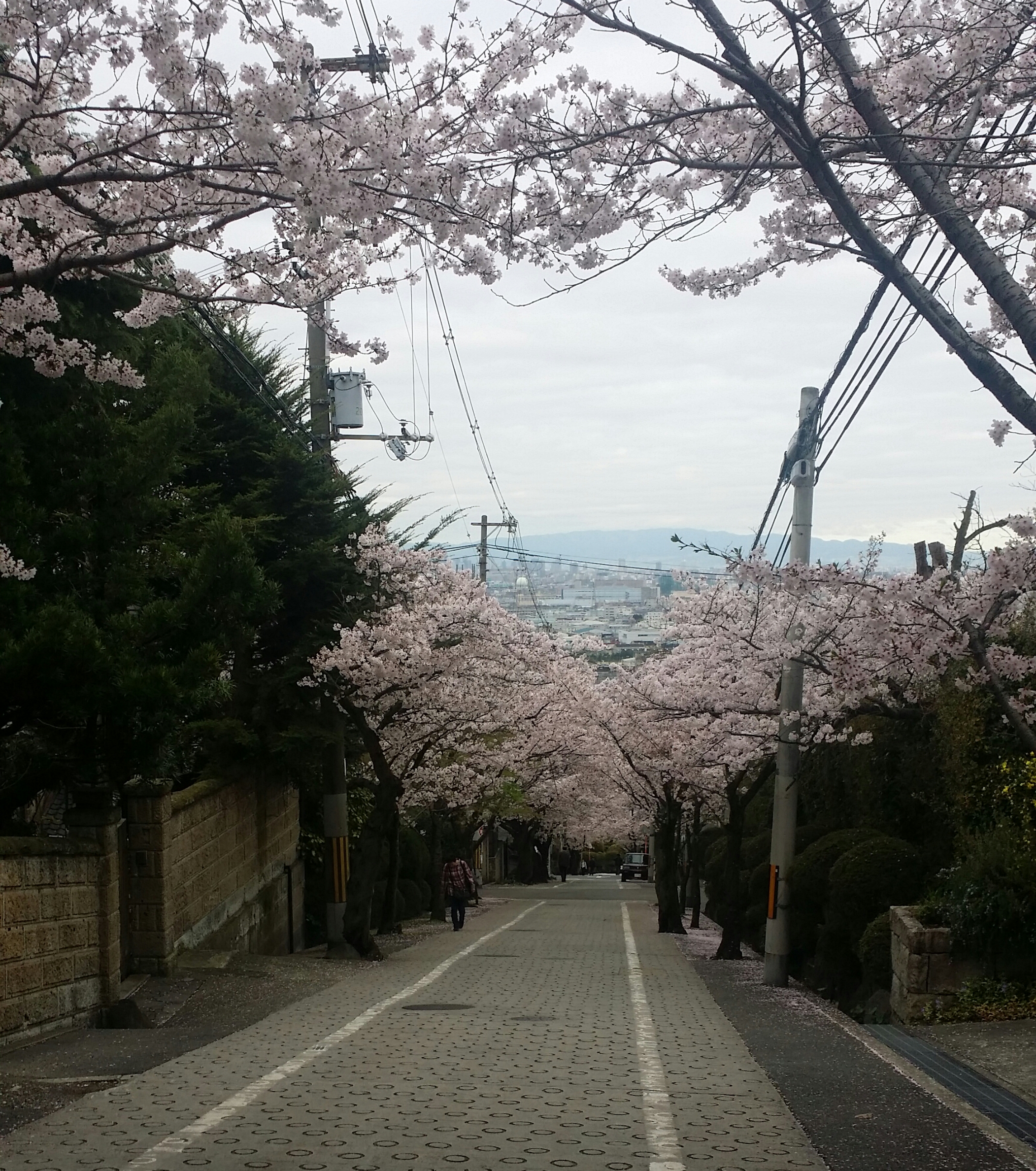 ４月９日　土曜日🍀