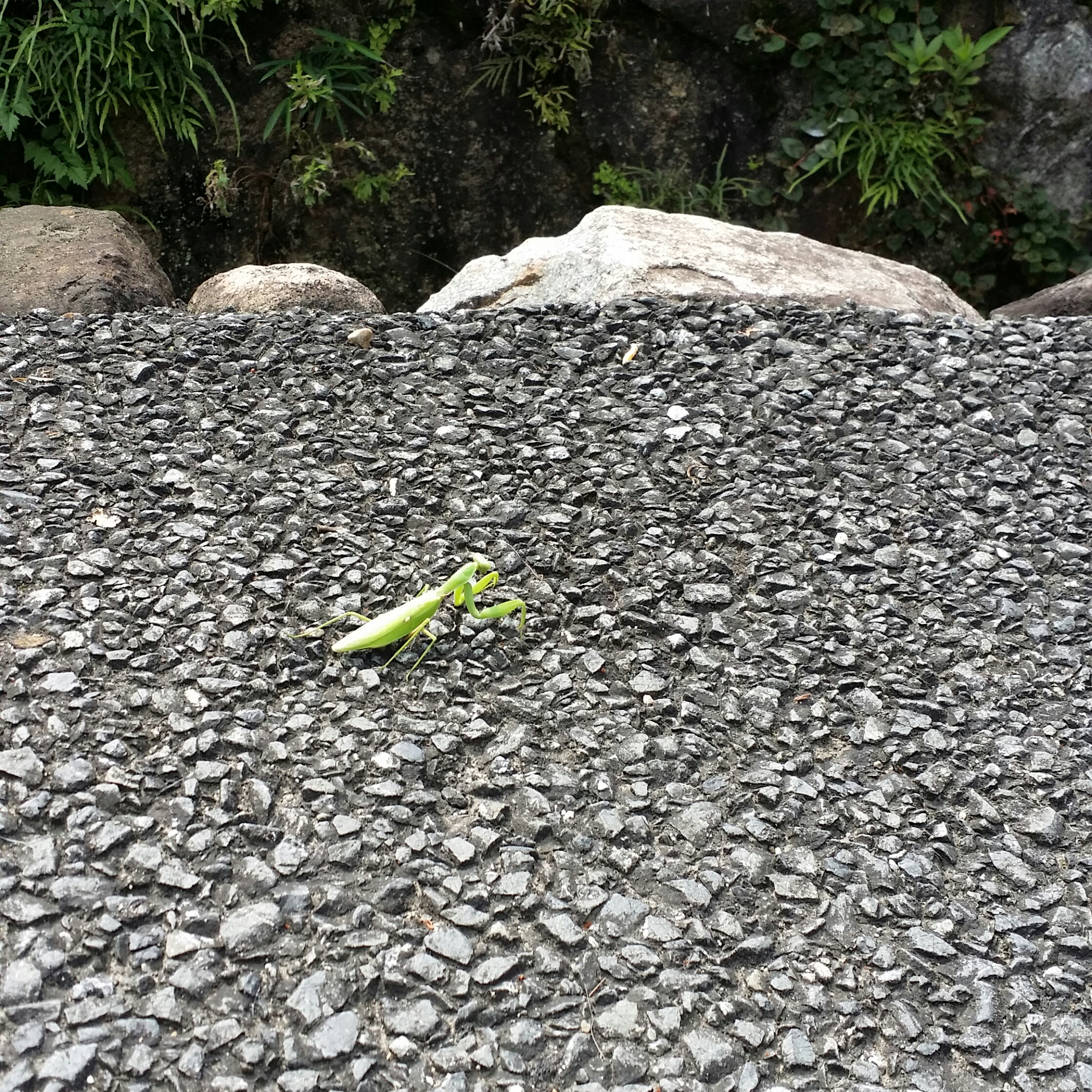 梅雨明け😂？？