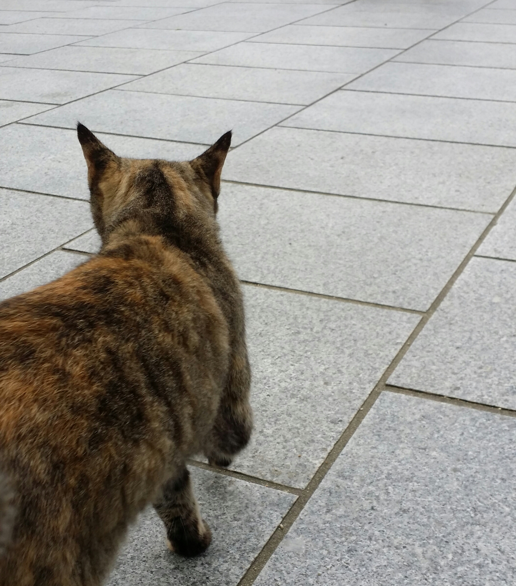 １０月１８日　火曜日💮