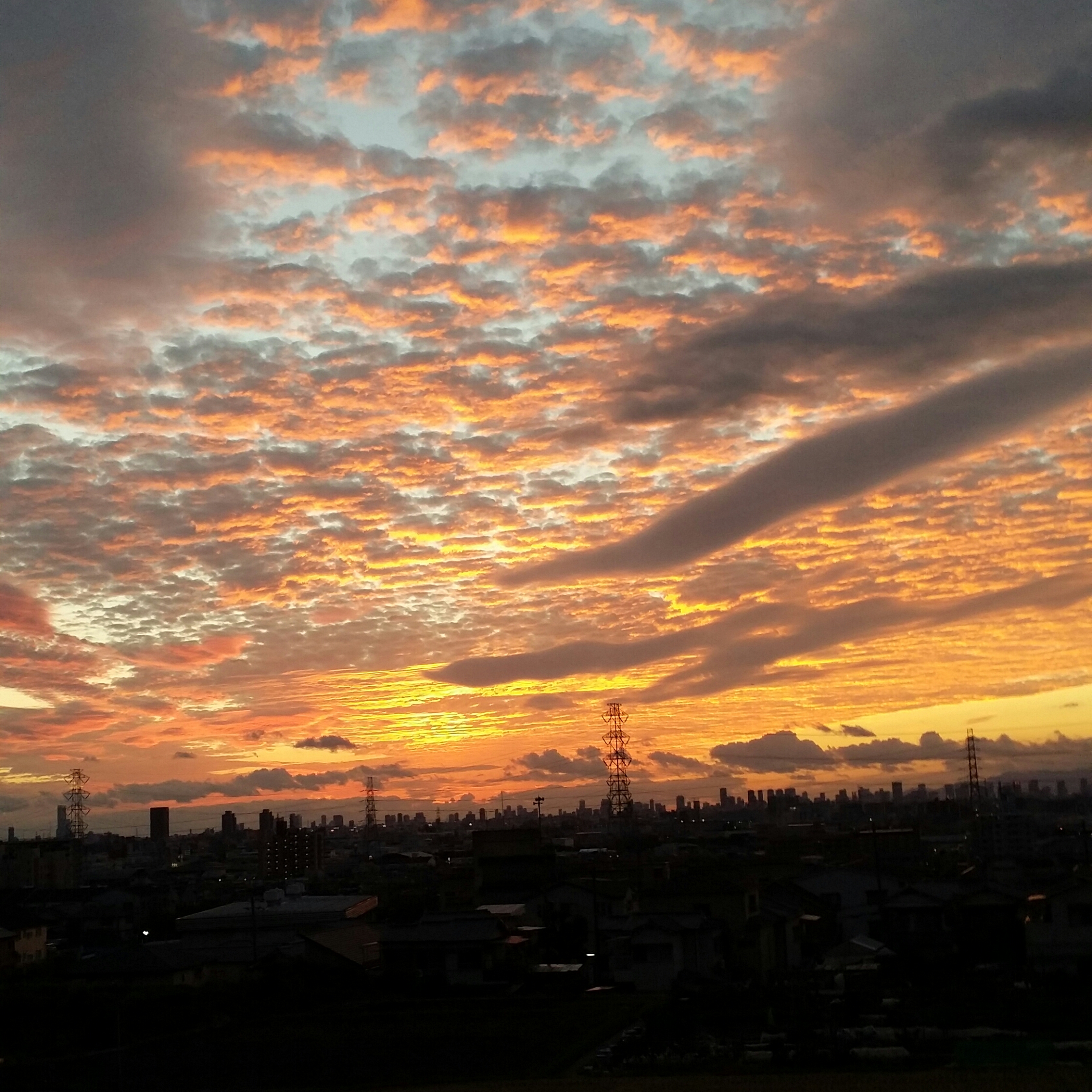 １０月２５日　火曜日💮