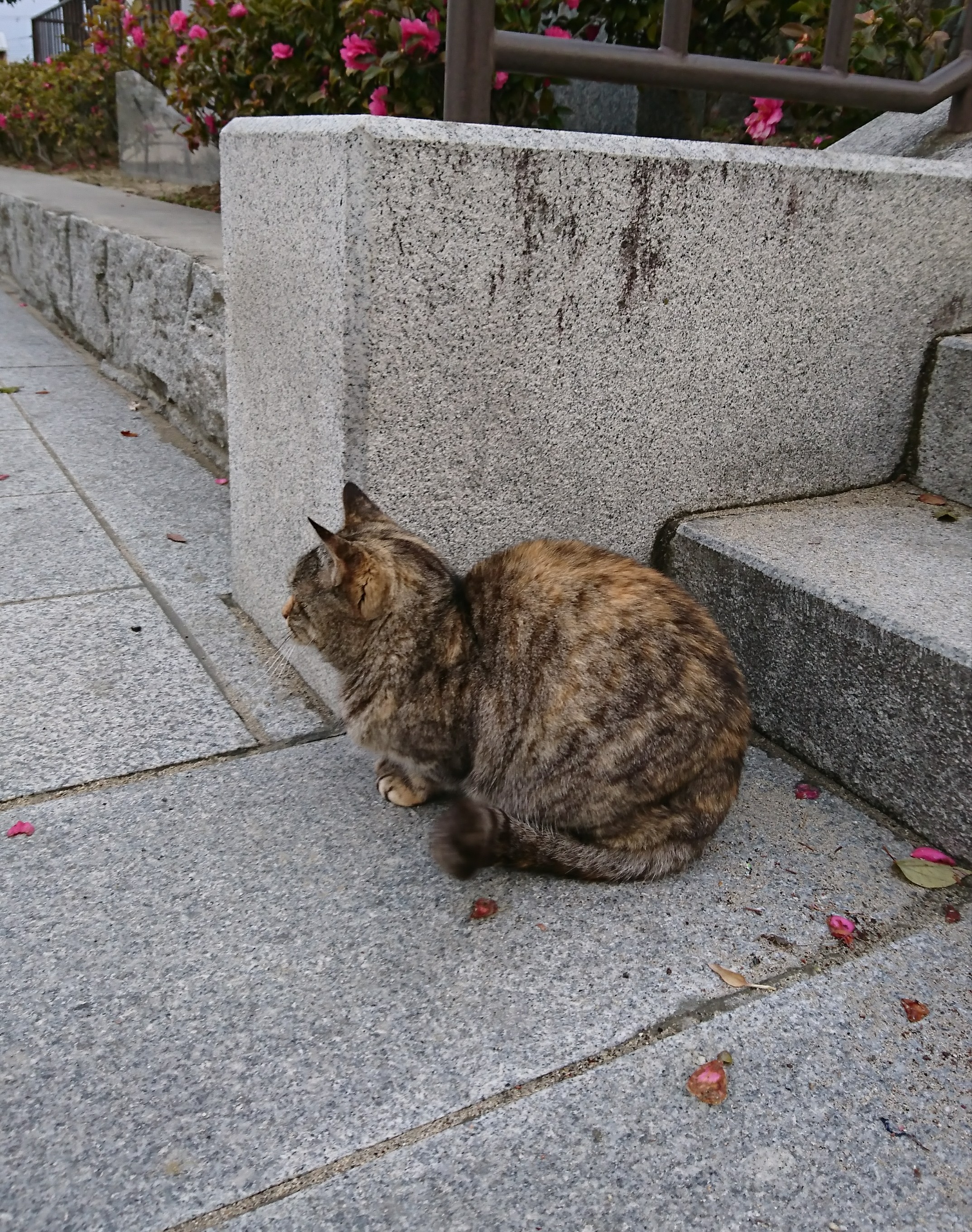 寒さに注意😅