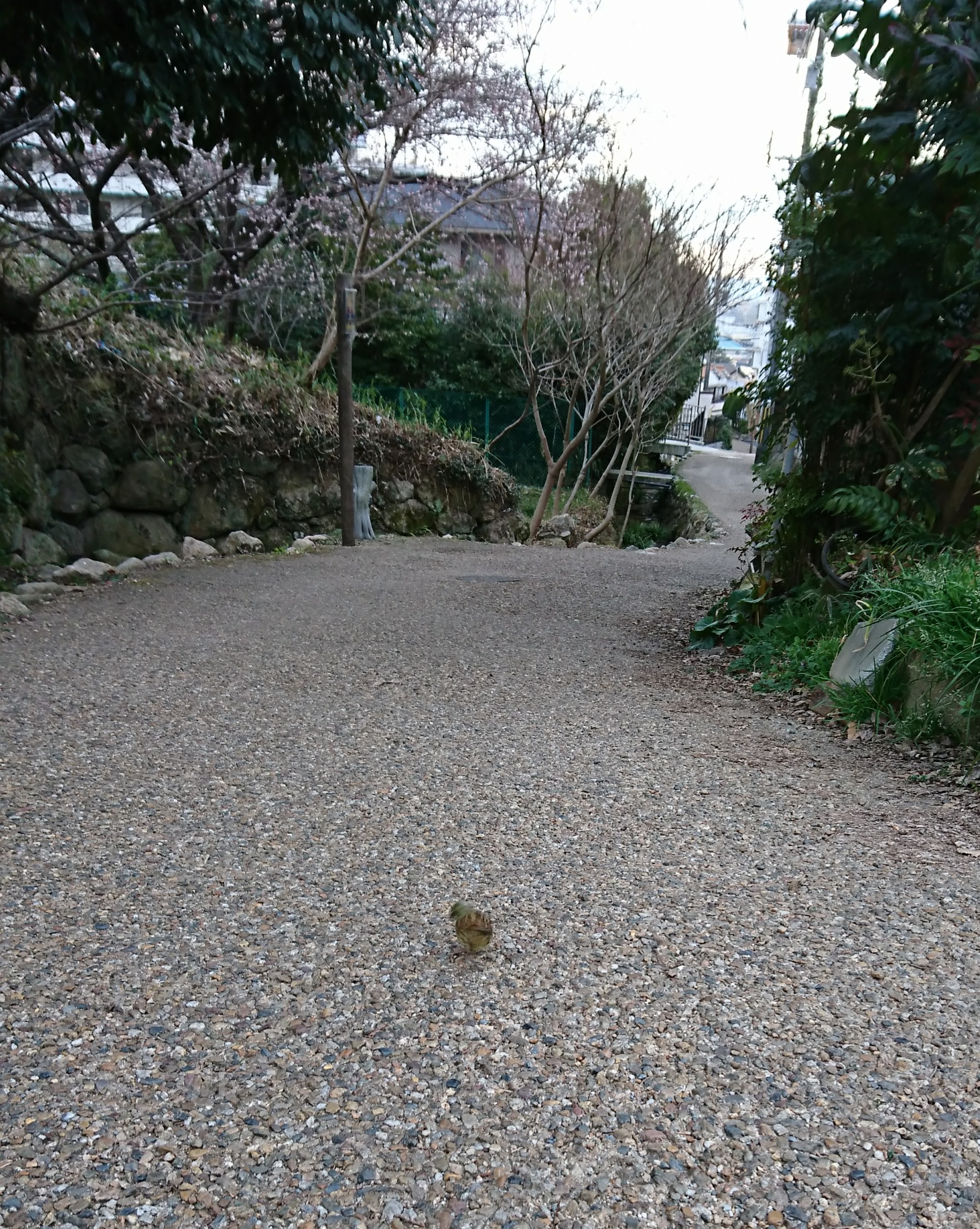 ３月１５日 水曜日🍀