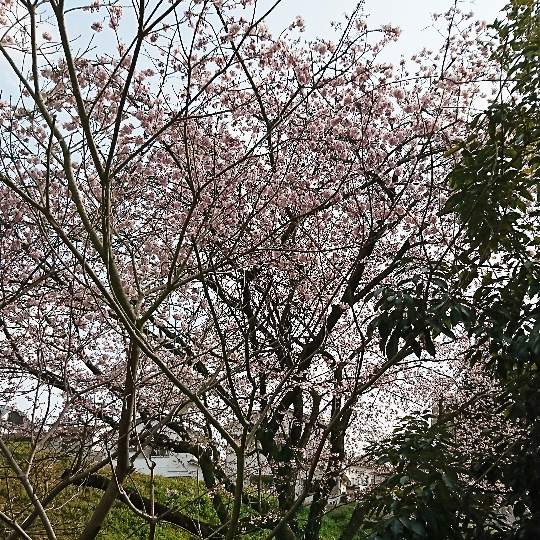 ３月２２日 水曜日🍀