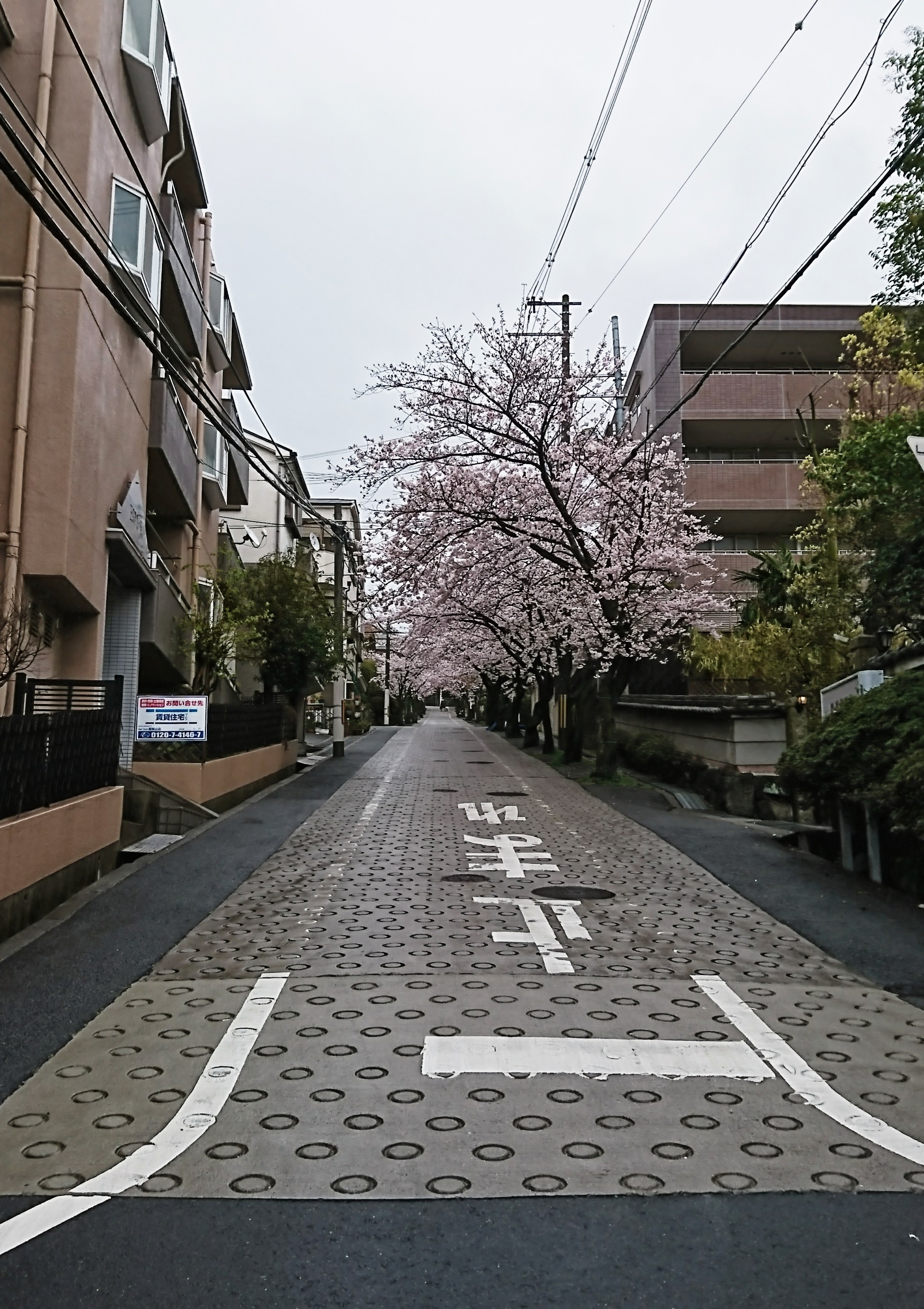 ４月７日 金曜日✨