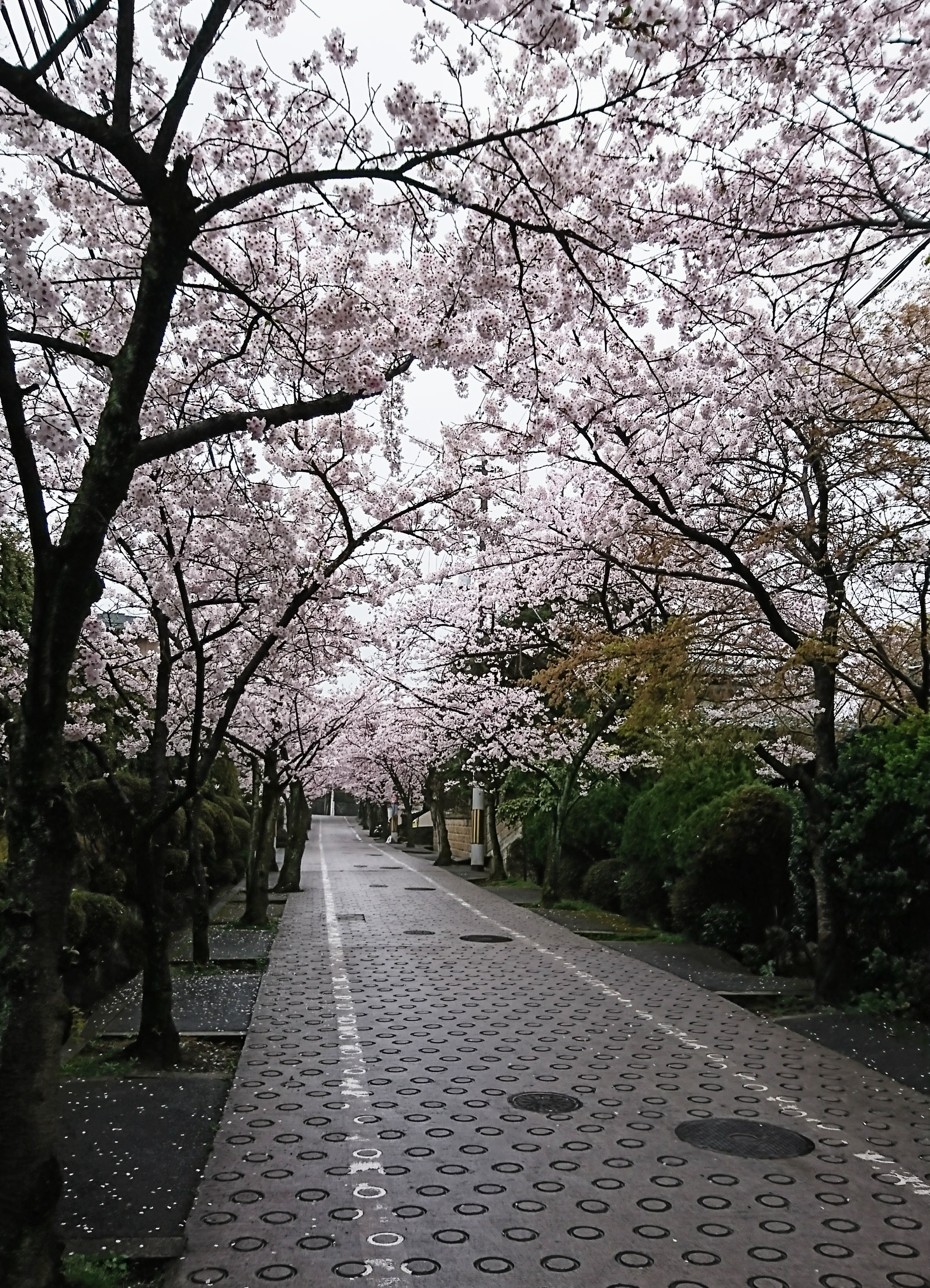 気をつけてください😊✨