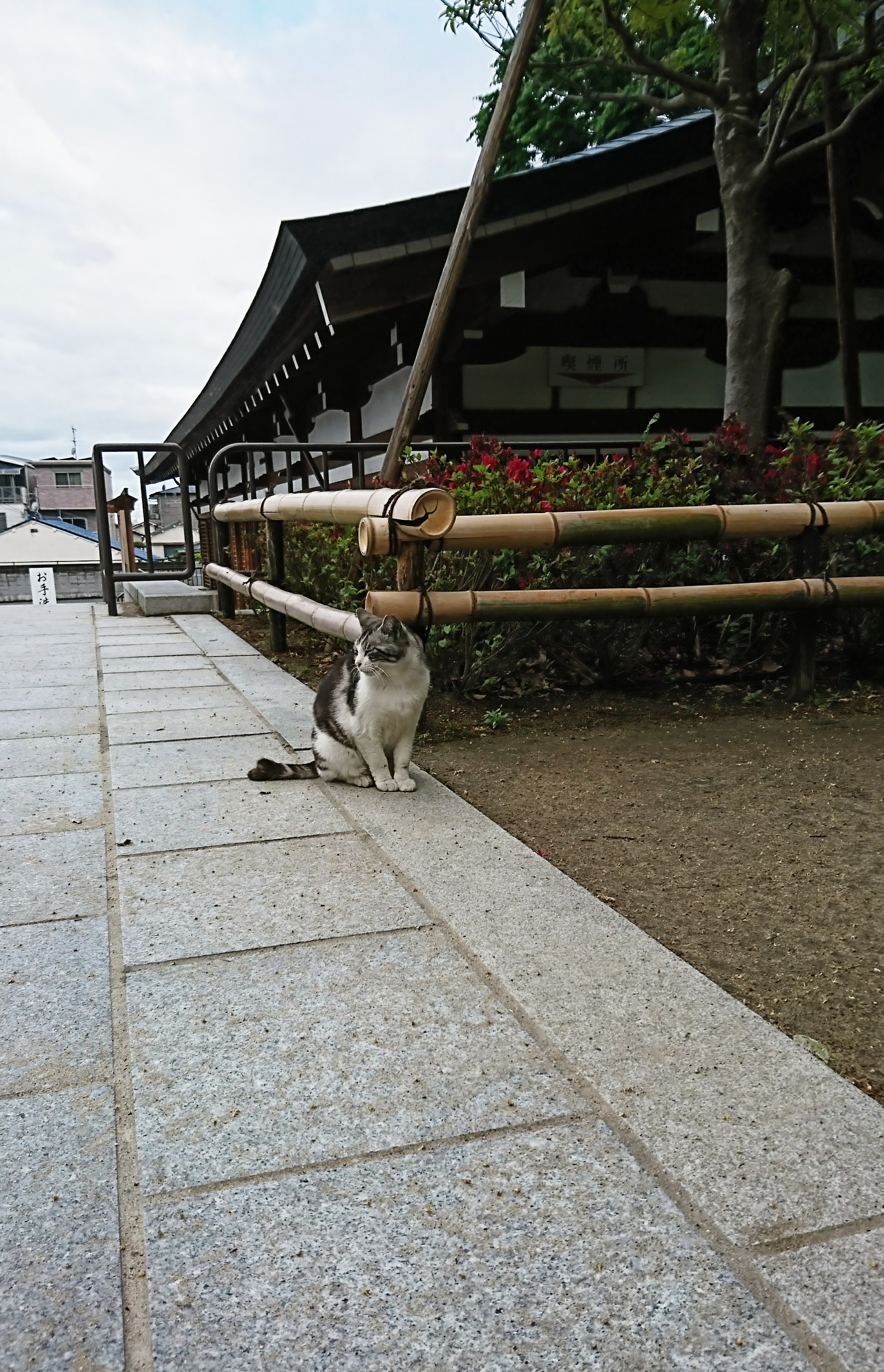 ありがとう✨