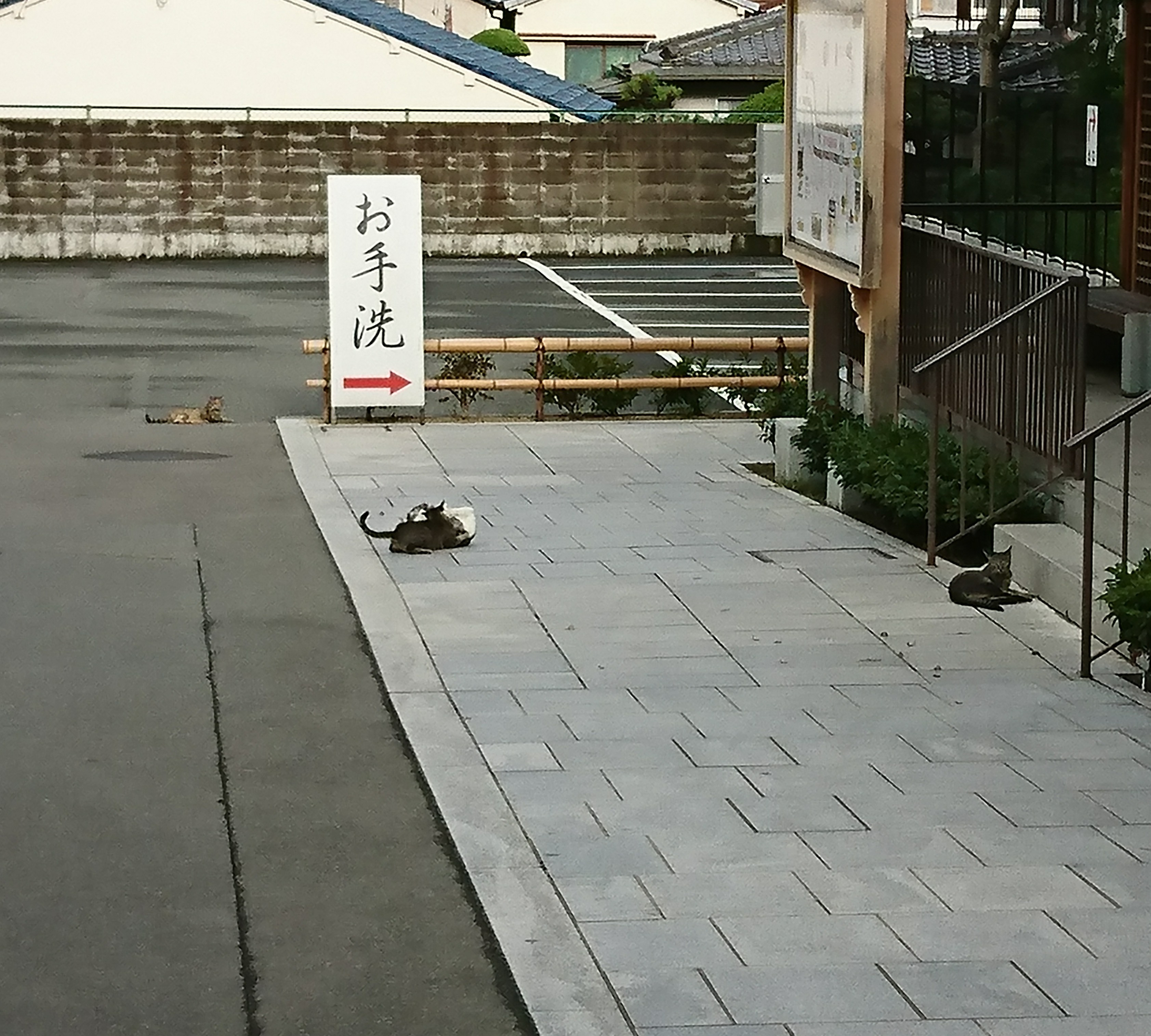 夏の香り✨