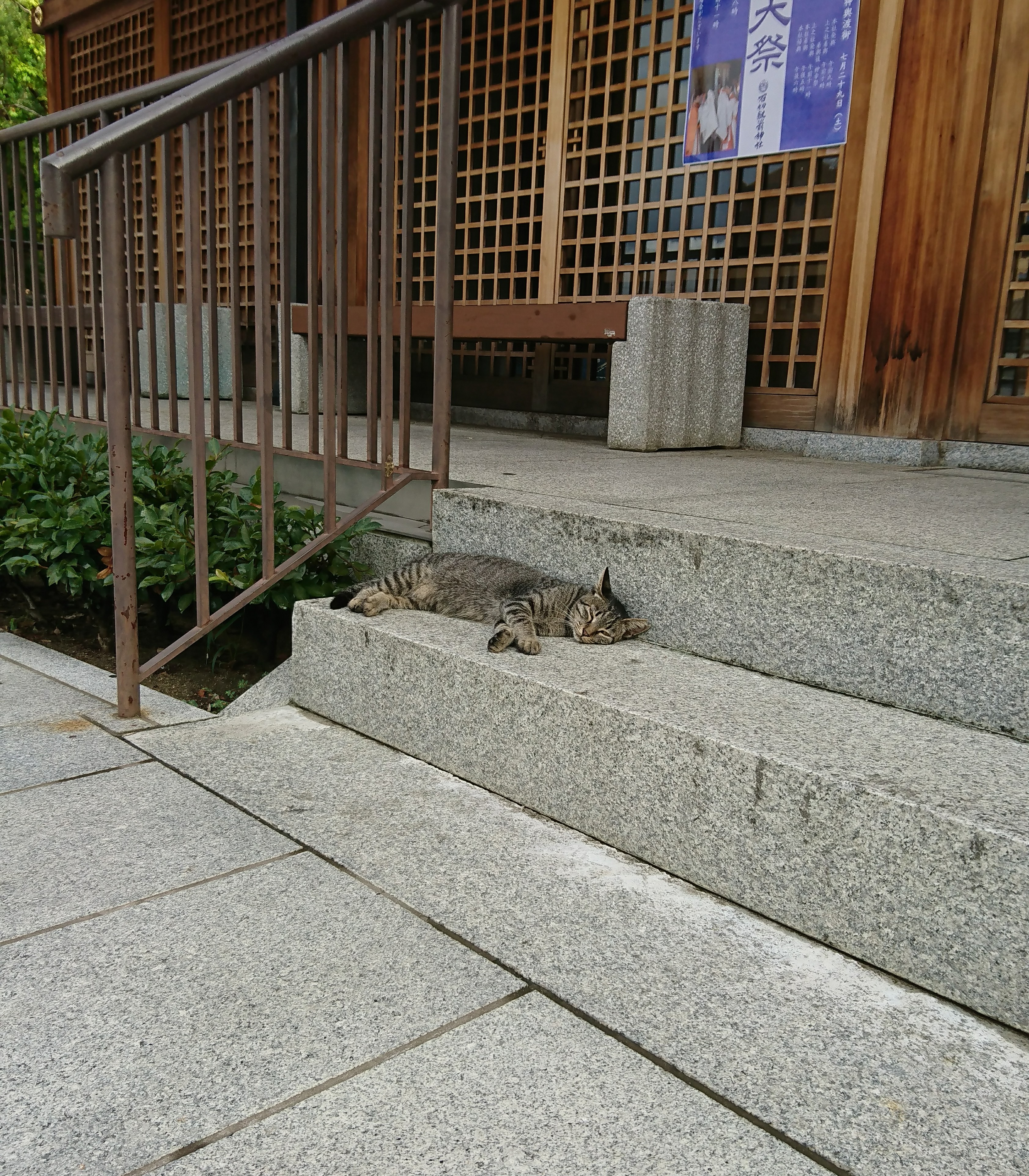 冷たい雨。。。😅