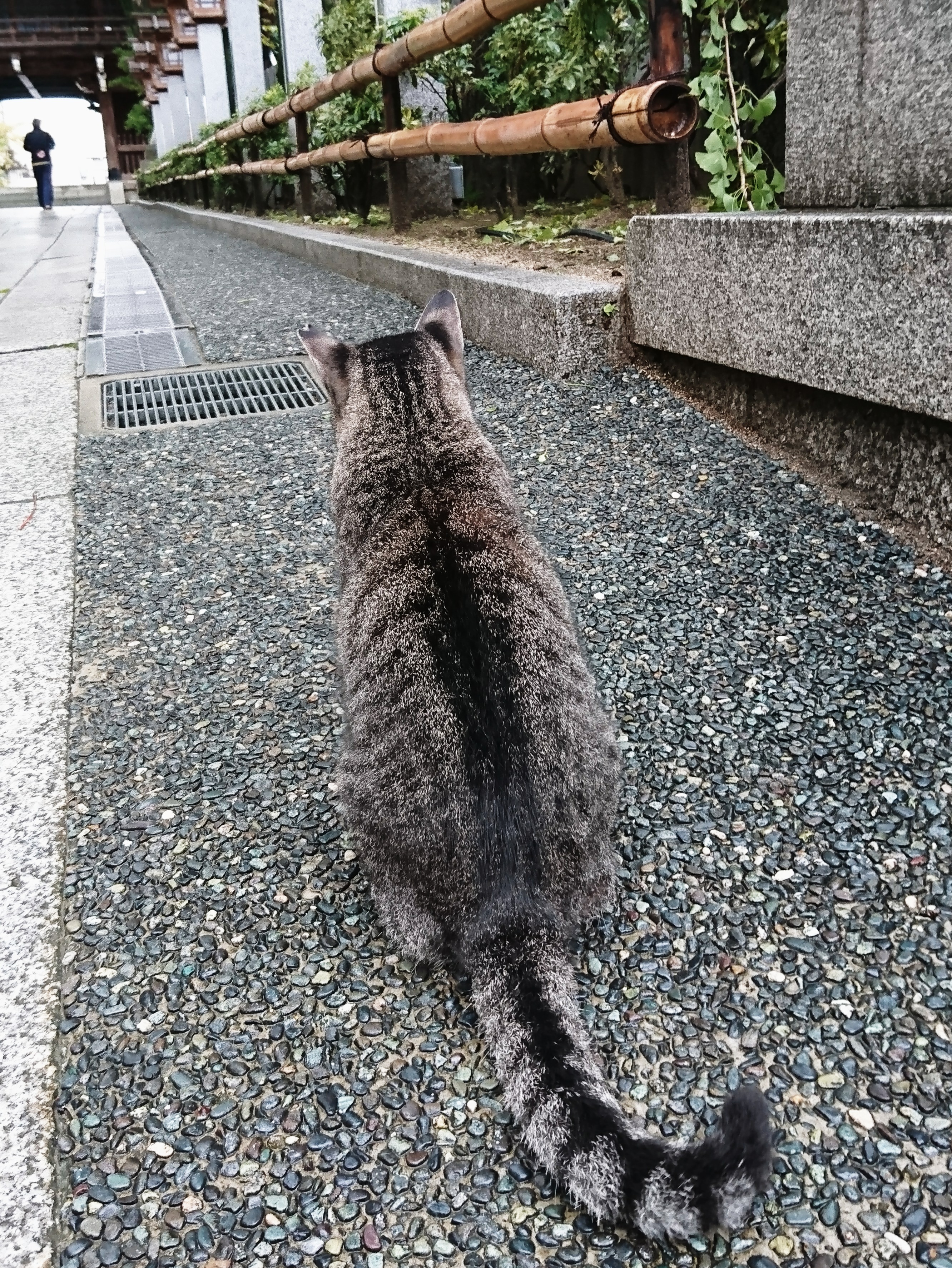 風邪に注意😅