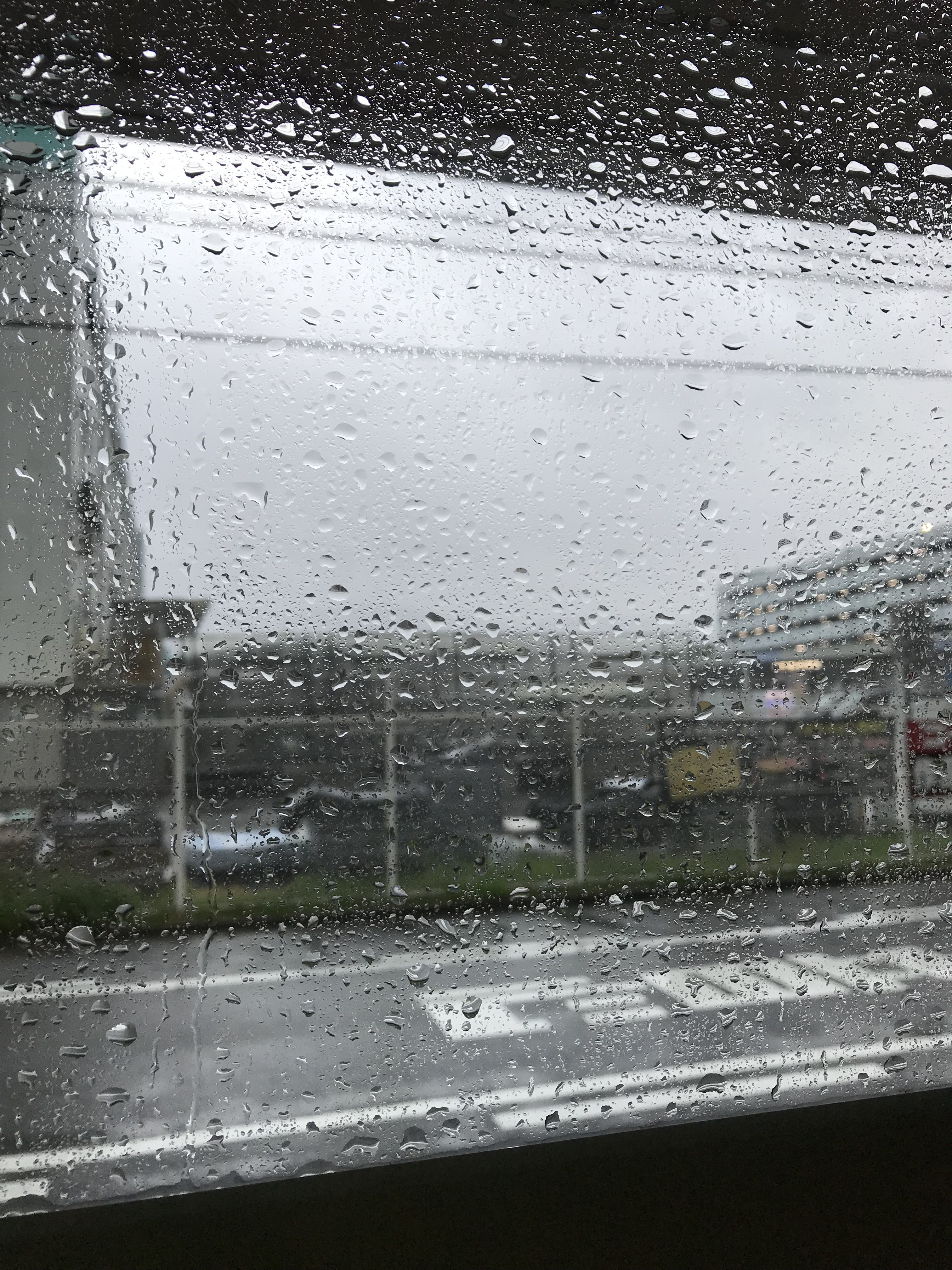 また台風ですね✨