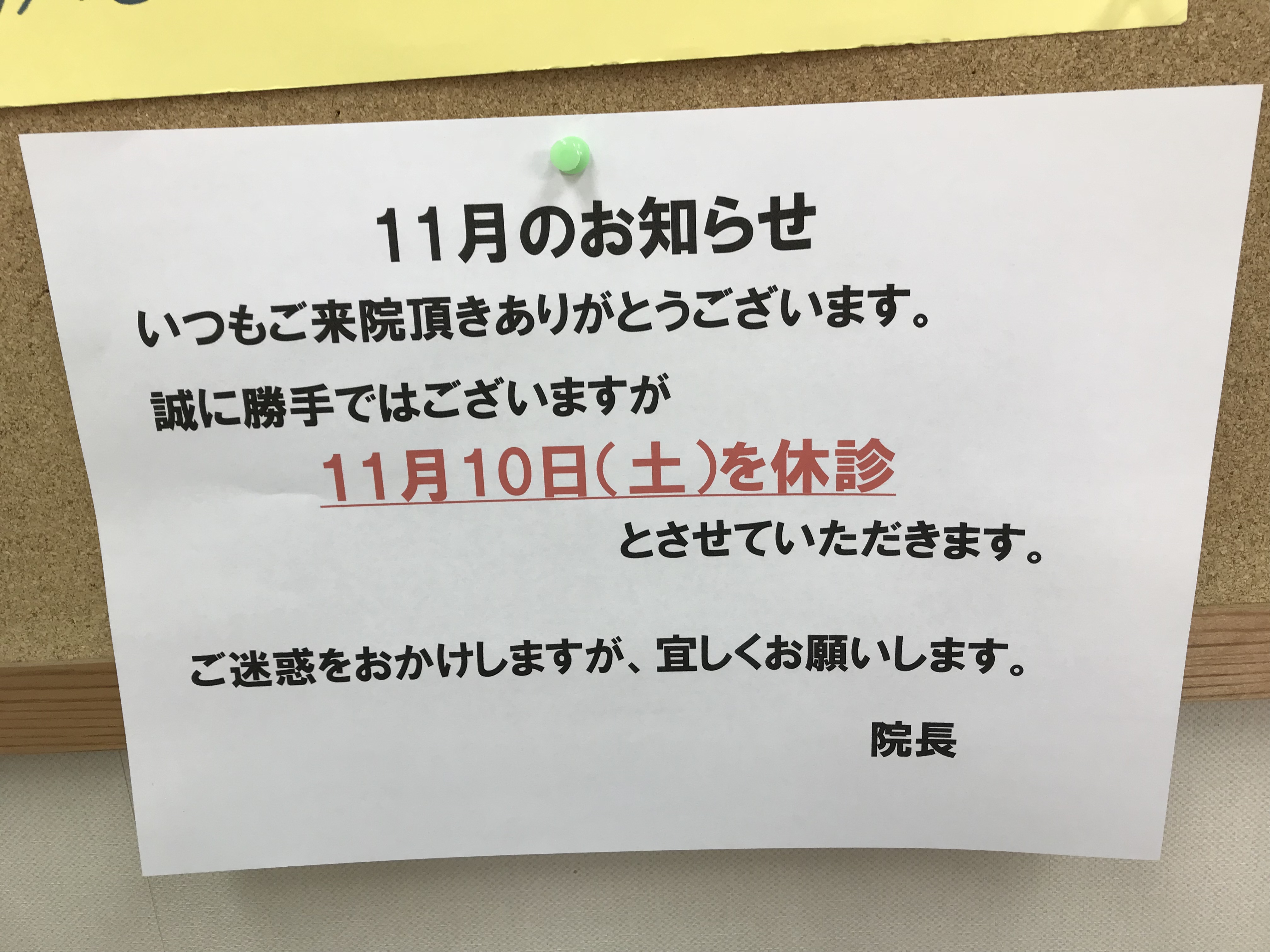 本日は休診です✨