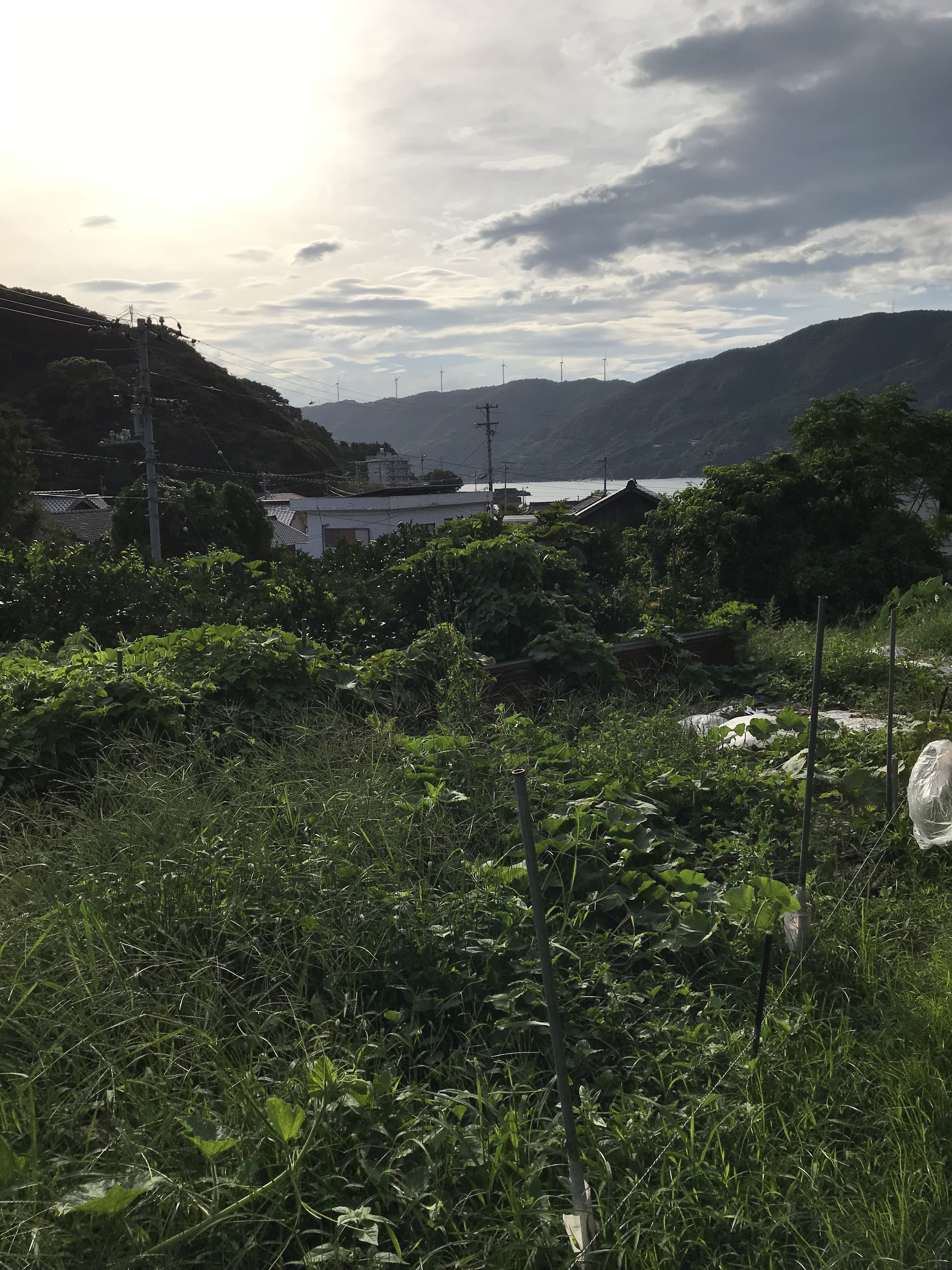 小学校低学年でもセルフケア✨